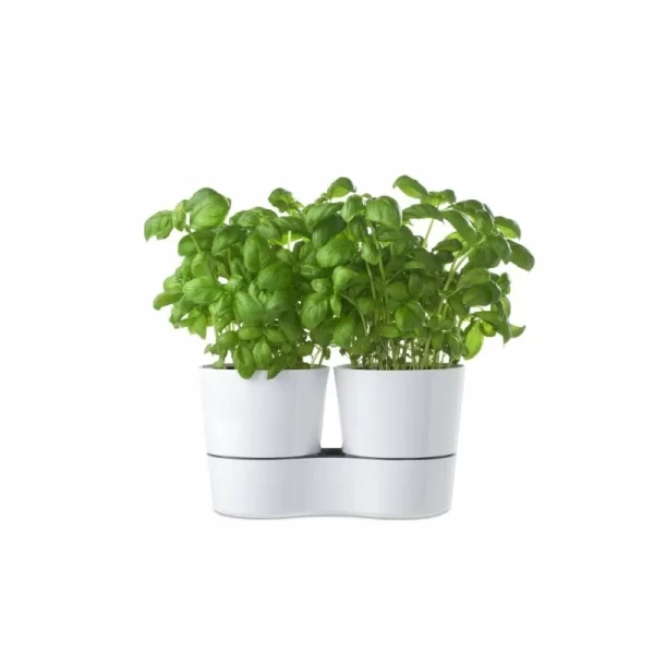 Mepal Kräutertöpfe Hydro Herbs 1
